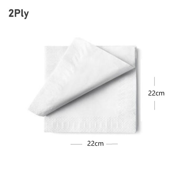 White Paper Napkin 22x22cm 2Ply