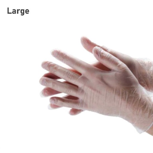 [008004] Large Clear Vinyl Gloves 1000/ctn